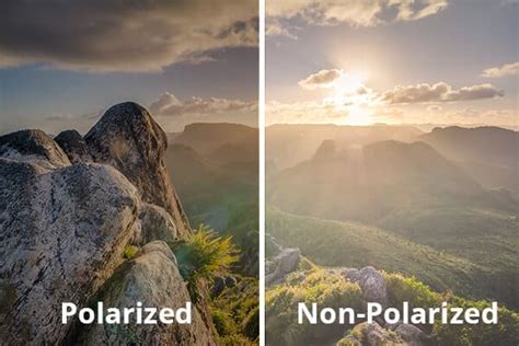 Polarized Non Polarized Sunglasses: Which One Should You, 53% OFF