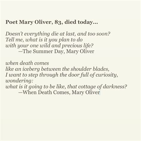 Dragonflys Poetry And Prolixity Rip Sweet Mary Oliver