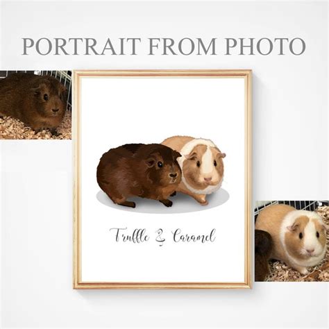 Guinea Pig Photo Etsy