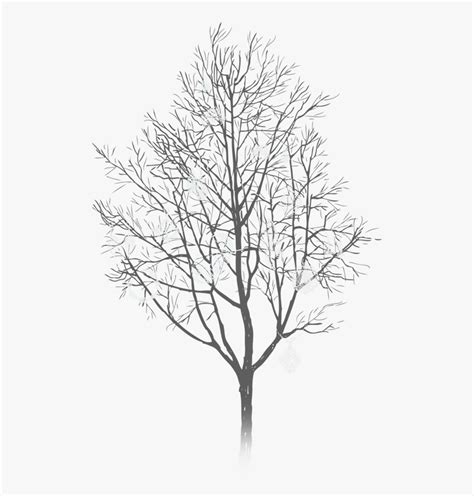 Winter Silhouette Tree Png, Transparent Png - kindpng