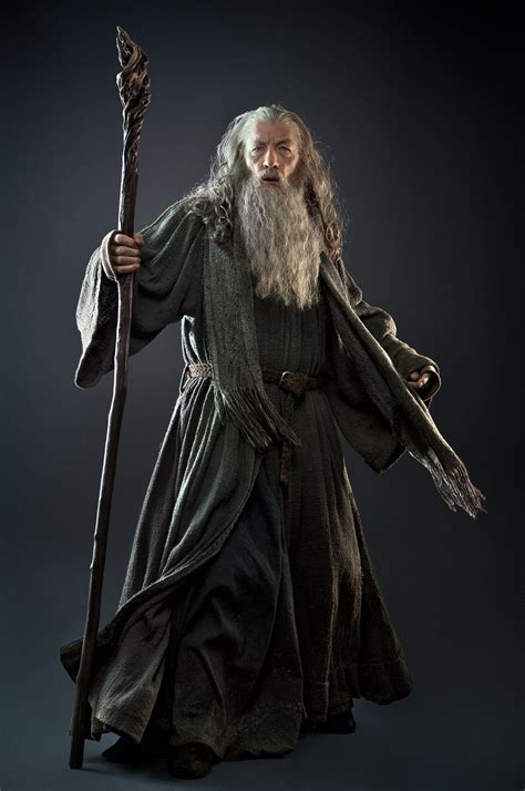 Gandalf The Grey You Shall Not Pass