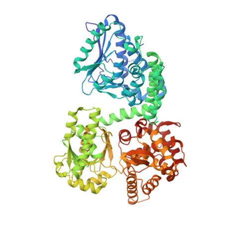 RCSB PDB 8OQQ Structure Of Mycobacterium Tuberculosis Beta Oxidation