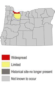 map - Corbett Oregon