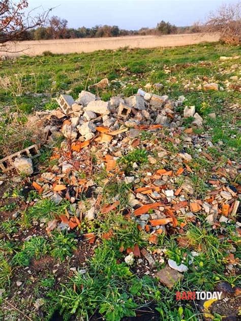 Nuova San Paolo Non Solo Cattivi Odori Cinghiali Ma Anche Discarica