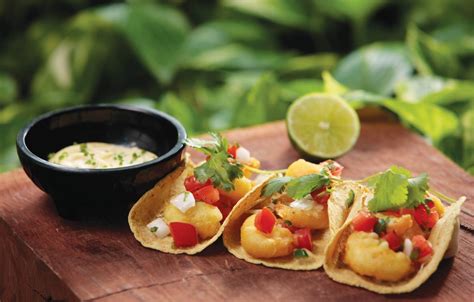 Fried-Shrimp-Tacos – The Vidanta Traveler