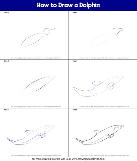 How To Draw A Dolphin Step By Step Video