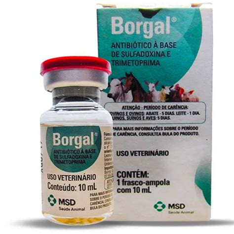 Borgal Sulfadoxina e Trimetoprima Antibiótico Injetável 10ml MSD