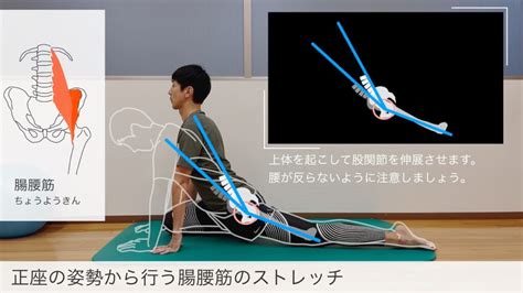 図解でわかりやすい】正座の姿勢から行う腸腰筋のストレッチ」をyoutubeにアップしました。 ボディ･モーション･ラボ