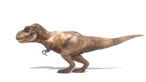 Tyrannosaurus Rex Animated Model Turbosquid