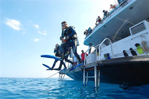 Things You Do NOT Want To Hear On A Diving Safari Red Sea Diving