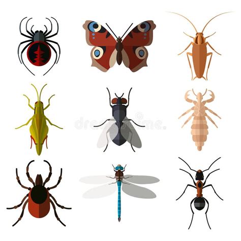 Insect Flat Line Icons Set Bugs Vector Illustrations Coloring Book