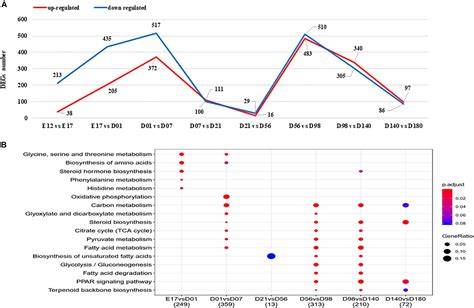 Frontiers Time Course Transcriptomic Study Reveals The Gene