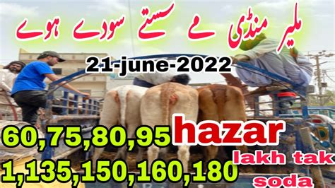 Malir Mandi Rate Update 21 June 2022 50 Hazar Se 2 Lakh Tak Ka Soda