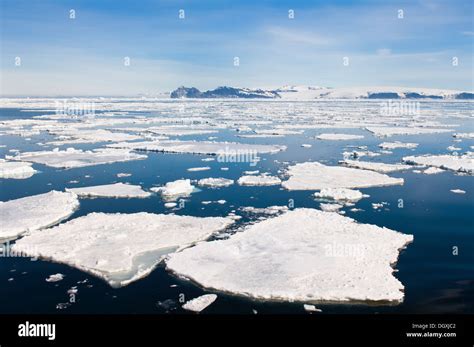 Ice floe, Weddell Sea, Antarctica Stock Photo - Alamy