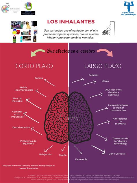 Efectos De Los Inhalantes En Las Personas