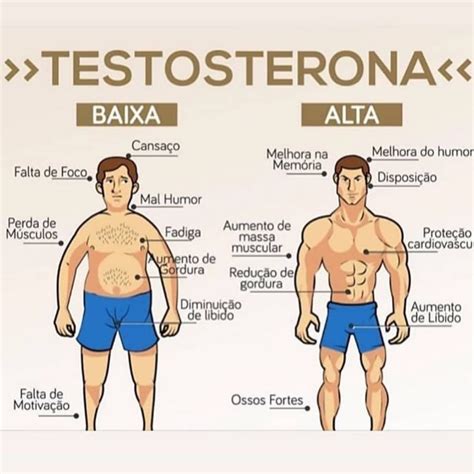 Testosterona O Que Para Que Serve Acadhemia