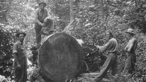 PHOTOS: A visual history of the Great Smoky Mountains National Park | WKRN News 2