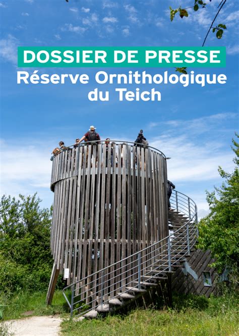 Dossier De Presse D Couvrir La R Serve R Serve Ornithologique Du Teich