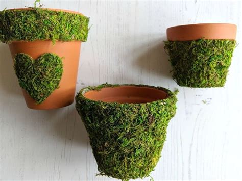 How To Make Pretty Moss Covered Flower Pots Diy Flower Pots Diy