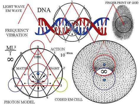 Vortex Nature Of Dna By Marko Rodin Aether Force