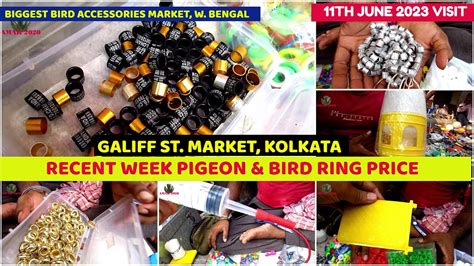 Recent Week Pigeon Bird Ring Price Update Galiff Street Pet Market