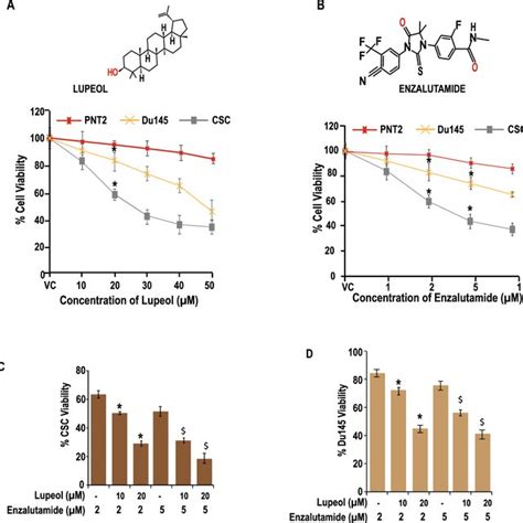 Cell Viability Assay Effect Of Lupeol And Enzalutamide On Normal Cell