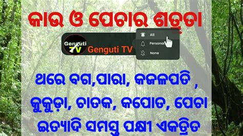 Panchatantra Kahani In Odia Kau O Pechar Satruta