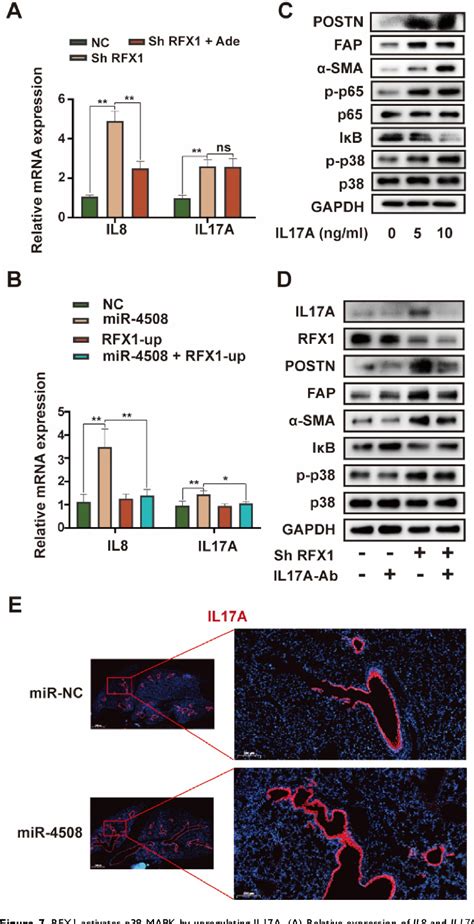 Figure From Hypoxia Induced Exosomes Facilitate Lung Pre Metastatic