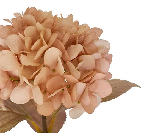 Romance Artificial Hydrangea 65cmL Nude Floral Craft