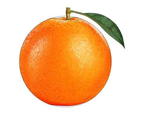 Orange Fruit With Leaf Drawing