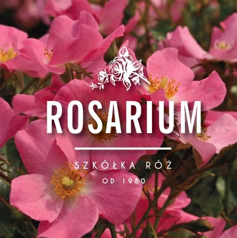 Rosarium Szkółka Róż ROSARIUM