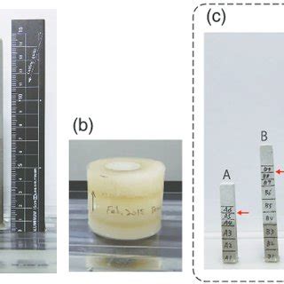 Measured And Calculated Values Of Capillary Rise Over Time Examples Of