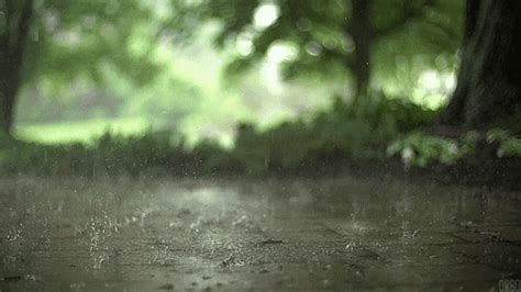 Rain GIFs - Find & Share on GIPHY