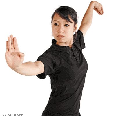 Tiger Claw » Uniforms & Belts » Kung Fu & Tai Chi » Tiger Claw's ...