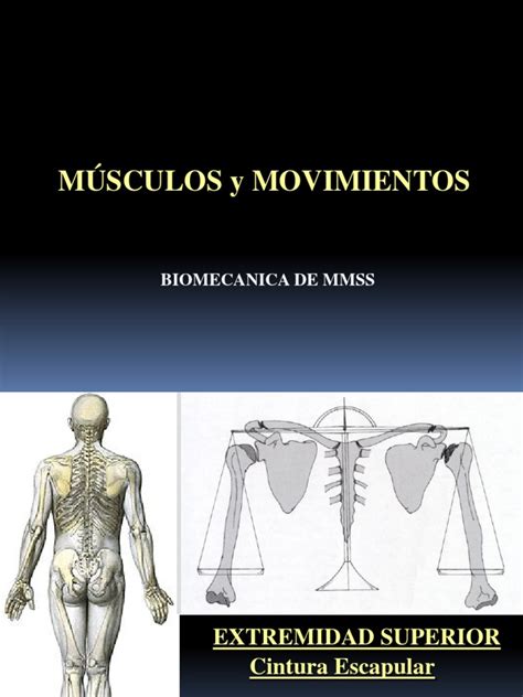 PDF Biomecanica De Mmss DOKUMEN TIPS