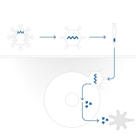 How the Novavax technology is different from other coronavirus vaccines ...