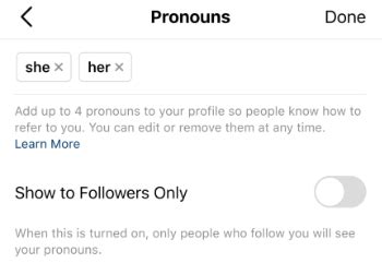 C Mo A Adir Pronombres Al Perfil De Instagram