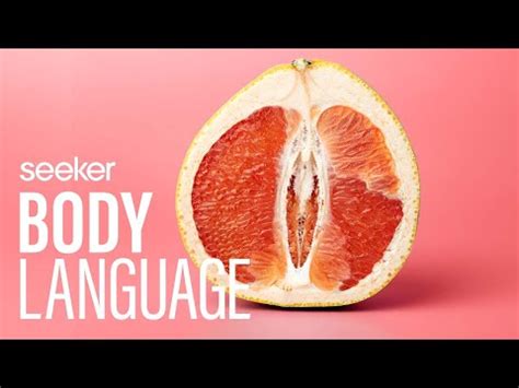 Everything You Didnt Learn In Sex Education About The Vagina YouTube