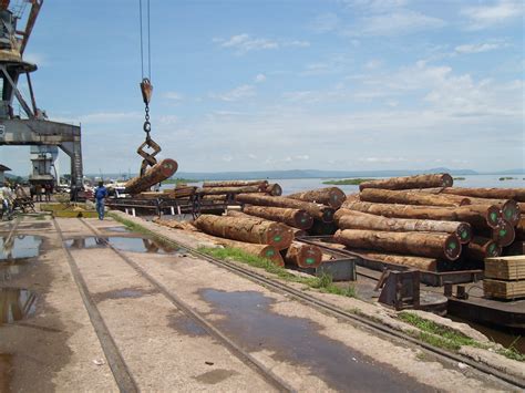 The New Humanitarian | Ghana in the vanguard of new logging laws