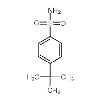 Accela 4 叔丁基苯磺酰胺 6292 59 7 实验室用品商城