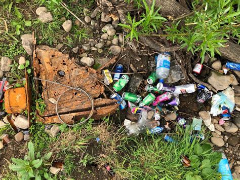 15 Devastating Pictures Show Leeds Nature Reserve Ruined After Illegal Lockdown Rave Leeds Live