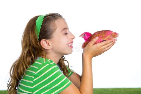 Fille D Enfant Avec Des Poussins Jouant Sur Le Bleu Photo Stock Image