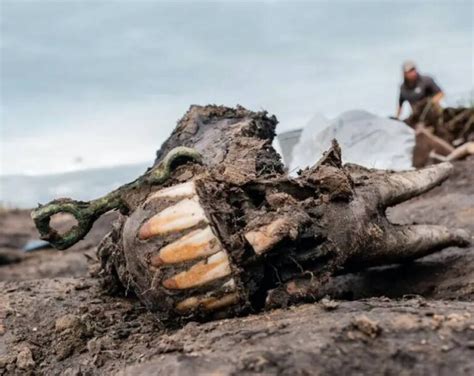 Siberian Burial Mounds Found With Horse And Human Sacrifices