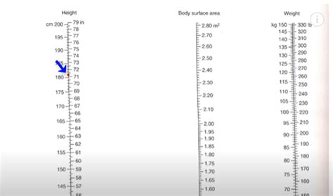 Dose Calculations Based On Body Surface Area