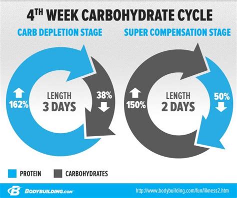 Your Complete Guide To Creatine Monohydrate Creatine Monohydrate