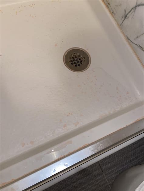 Is this mold? I had my shower replaced a couple months ago and this ...