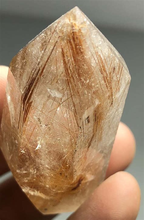 Natural Golden Hair Rutilated Quartz Crystal Point Specimen Etsy