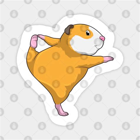 Guinea Pig At Yoga Stretching Exercise Yoga Magnet Teepublic