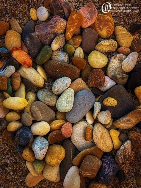 Hidden In Sand Macro Close Up Critiques Nature Photographers Network