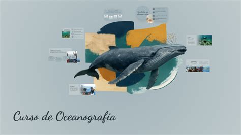 Oceanografia Nota De Corte - Curso de Oceanografia: Faculdades, Nota de Corte e Curiosidades by ...